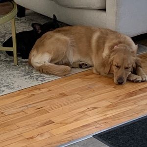 Meet your Posher, Chrystel